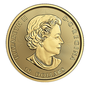 gold-canadian-buffalo-2020-ft-300-1 copy