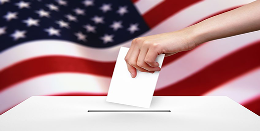 person voting in front of American flag